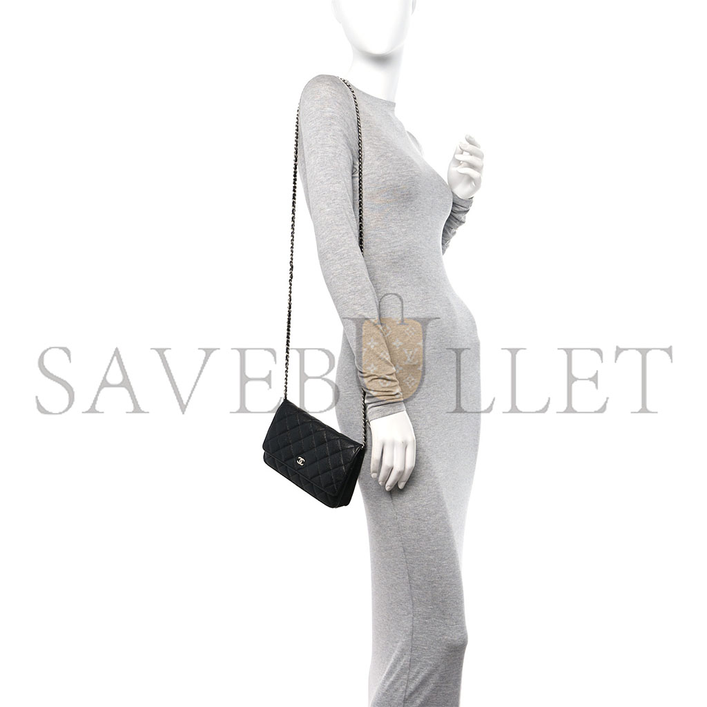 Ch*el classic wallet on chain silver hardware ap0250 y01480 c3906 （19.2*12.3*3.5cm）